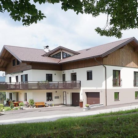 Ferienwohnung Hausleitner Zell am Moos Exteriör bild