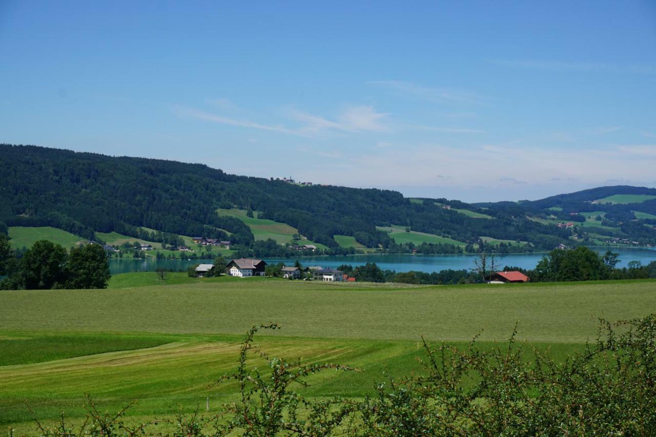 Ferienwohnung Hausleitner Zell am Moos Exteriör bild